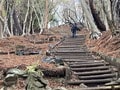 「バカ尾根」で登る “北アルプス並み標高差”   神奈川・丹沢「塔ノ岳」登山レポ！  長～いルートの先に待つ、山頂「富士山」の展望！の画像003