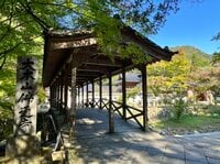 見頃は11月中旬予想！「知る人ぞ知る」穴場紅葉スポット・広島県「佛通寺」の極彩色風景