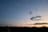 【バードウォッチング】必見！ 古都・平城宮跡の夕焼けに舞う6万羽のツバメ  “日本最大級”のねぐら入りに460人が魅了された！  奈良県｜2026年の画像006