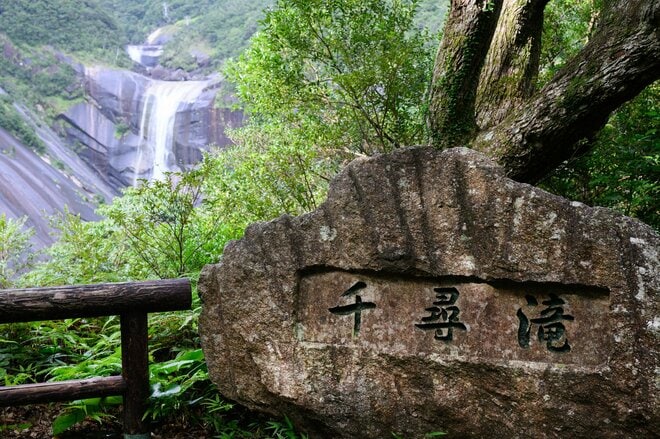 【世界自然遺産・屋久島】 屋久島をレンタカーで一周するドライブ旅「千尋の滝・大川の滝・ガジュマル・西部林道」を一日でめぐる！の画像010