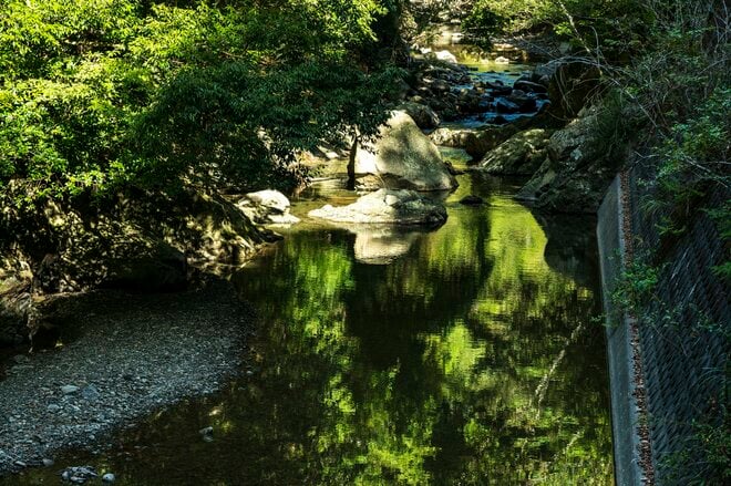 【フライフィッシング】落ちパク！  入れ食いだったのは、狙っていたアマゴじゃなかったけれど…… 「まだ渓流釣りができる幸せ！」 10月、静岡へ   2025年の画像002