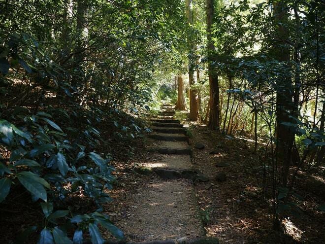 【もっと知りたい百名山「筑波山」】つくば道からアプローチ&男体山・女体山の絶景を楽しんだ後は、おたつ石・迎場コースで下山！の画像008