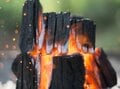 炭の火起こしは薪より苦労する！？「確実に炭を燃やす方法」【焚き火の話 vol.35】の画像004