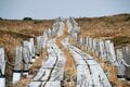 【富士山の次に登る山 vol.1】登山の魅力はムゲン大「パワーを感じる霊山」 秋田駒ヶ岳・白山・御嶽山・大山の画像004