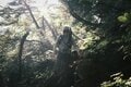 初夏の低山こそ注意！ 倦怠感や痺れを感じて歩けなくなる…「シャリバテ＆熱中症」看護師有資格ライターの実体験に学ぶ「体で起きていたこと」と「対処」とは？の画像004
