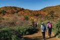 “秋山”最強コンボ【紅葉と渓谷トレッキング・第1回】高村幸太郎『智恵子抄』で描かれた“ほんとの空”が広がる百名山「安達太良山」の画像002