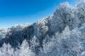 「ブナの森に咲く雪の花」が美しすぎるとSNSで話題！  標高差789ｍを最新型ゴンドラで「霧氷の世界」へ！  信州・野沢温泉スキー場【2021・初冬】の画像008