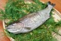 「ニジマス」と「キングサーモン」の交配で誕生した世界でも希少な養殖魚！  山梨県の「富士の介」とは？の画像005