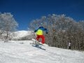 暖冬に雪不足！？ そんな心配がいらない “マルチ”ゲレンデ「白馬岩岳スノーフィールド」へ行ってきた！【全力体験レポート】の画像008