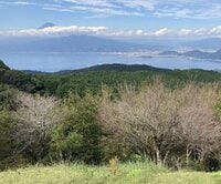 秋の訪れとともに登りたい！  伊豆「金冠山・達磨山」まるで公園の芝生のような稜線歩き「富士山＆駿河湾」の絶景「登山レポ」
