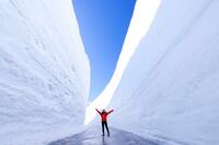 【4月15日から開催】立山黒部アルペンルートで向かう室堂「雪の大谷フェスティバル」 雪いっぱいの今年は圧巻の雪壁＆絶景に期待！