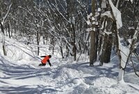 「つがいけマウンテンリゾート」で味わうダイナミックなツリーラン「TSUGA POW DBD」 帰りは千国街道の「道の駅 おたり」で食事や温泉、お土産も！