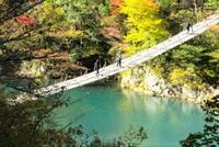 超絶美の秘境「寸又峡」の紅葉ハイキング！ まるで映画「エメラルド湖面＆つり橋」展望！ 11月上旬「日本全国2周」旅ライター現地レポ