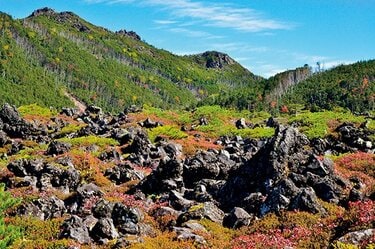 景石（八ヶ岳） 庭石・景石シリーズvol.2（ゲオム・ジュラ／チャート・ボルダー/ニュー