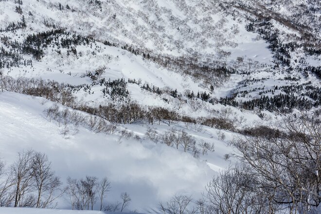 多発する「バックカントリー」での事故！ 「コース外滑走とは違う」 “雪崩”だけじゃないリスク【2023スノーシーズン】の画像003