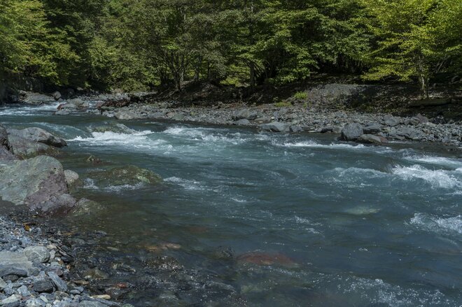 【渓流釣り】 「秋色に染まる鬼の形相！」 日本のチロル・秘境で狙う遠山の鬼アマゴ  長野県南信濃の画像002