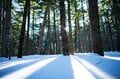 雪の白峰三山、縦走記【南アルプスの日々 vol.２】の画像005
