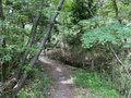「夏山後のビールが格別！」下山してすぐに飲みにいけちゃうハイキングコース「ビアトレイル」教えます【里山アドベンチャー！ソトアソ日和 vol.11】の画像006