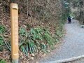 早春の “足ならし” に「高尾山＆小仏城山」ハイキング！  澄んだ空に「富士山」はもちろん、ロウバイやシモバシラも見られるかも！？  現地レポの画像002