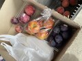 【アウトドア豆知識】「意外に知られていない高速道路料金定額プラン」実際にいくら得するか「2泊3日の旅行」で検証してみましたの画像004