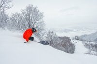 【舞子スノーリゾート】「塩沢石打ICから1分」のエリアに広がる極上雪山リゾート（新潟県）