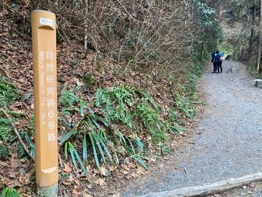 山口一郎 「Mountain」値下げ！ 山口一郎 「Mountain」値下げ！