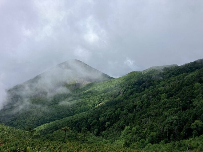 残暑を避けて登りたい「歩き出しから涼しい日帰りがっつりルート」 八ヶ岳・権現岳の画像008