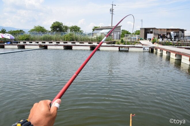 画像 写真 ゼロから始めるヘラブナ釣り 最安いくらで楽しめるのか を検証してみた結果とは 合計2枚 アクティビティ ニュース Bravo Mountain