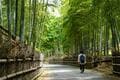 京都駅から40分、穴場の絶景「向日市・竹の径」レポ！  有名スポット「嵐山・竹林の小径」より見ごたえあり？「孟宗竹1.8㎞」ハイキングの画像003