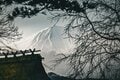 【ハイカー女子の一杯】 春ハイクで「雪頭ヶ岳」！  雄大な富士山に会いにいく “4杯目” 山梨県 2025年の画像008