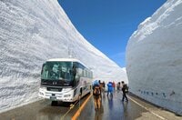 4/15開通【立山黒部アルペンルート】30周年！ 春の風物詩「雪の大谷ウォーク」ほか見どころ満載 『立山黒部・雪の大谷フェスティバル』