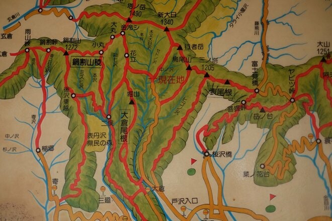 【各地で相次ぐ山火事】丹沢の人気ルート「大倉尾根」の通行止めが解除の画像009