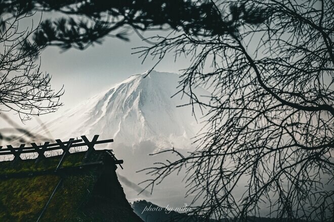 【ハイカー女子の一杯】 春ハイクで「雪頭ヶ岳」！  雄大な富士山に会いにいく “4杯目” 山梨県 2025年の画像008