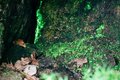 たった1時間歩くだけ！息を呑む「空よりも青い」神秘の大沼ブルー の画像002