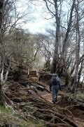 【首都圏近郊ハイキング】5月でもまだ花見ができる山「西丹沢・檜洞丸」への画像017