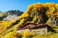 彩りも人出も最高潮！【2021年・秋】涸沢カールの紅葉事情と「驚異の写真」の画像009