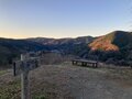 早春の「鍋割山」絶景ハイキング！  見ごろ「ロウバイ」＆山頂から「富士山・相模湾」展望！  ピストンなら下山時の “おかわり花見” もOK「現地レポ」の画像003