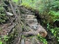 山は誰が守っていくのか？  従来の枠組みを超えた「未来型の登山道管理」へ【100年先までつなぐ、大雪山の自然と登山道 vol.3】の画像008