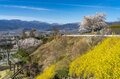 フルーツ王国・山梨の春はピンク色！ 桜から桃の花へ！ 開花ラッシュで花見に大忙しの “桃源郷” 甲府盆地【山梨県】2022年の画像007