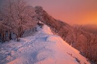 【雪山登山】息を呑むほど美しいモルゲンロート！ 日本百名山「赤城山」で絶景の日の出ハイク  群馬県 2024年