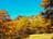 10月中旬から紅葉！  黄金色に染まる日本百名山「浅間山」 錦秋の外輪山ハイキング「黒斑山」＆「賽ノ河原・湯の平」の絶景！の画像004