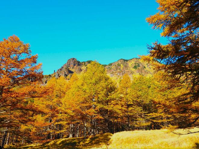 10月中旬から紅葉！  黄金色に染まる日本百名山「浅間山」 錦秋の外輪山ハイキング「黒斑山」＆「賽ノ河原・湯の平」の絶景！の画像004