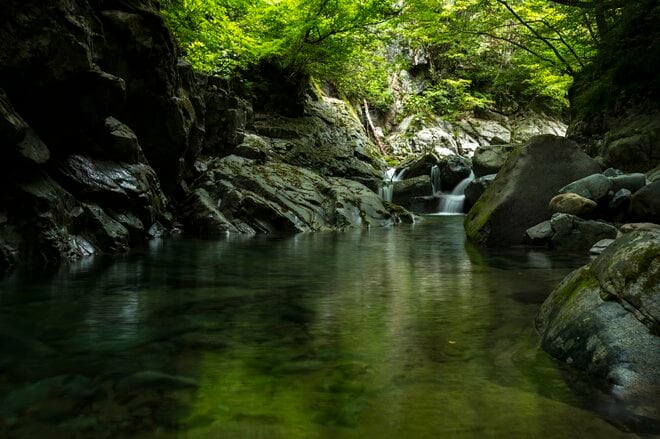 【渓流釣り】最終日前日の飛騨の渓、そぼ降る雨に警戒心がゆるむ秋色ヤマメたち　岐阜県・2025年の画像002