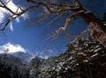 「まるで宇宙」紺碧の空「八ヶ岳ブルー」フォトレポート！  現地10年通いライターが魅了される「最も美しい場所」しらびそ小屋＆ミドリ池の画像001