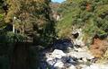 「石鎚山・吉野川・仁淀川」現地在住ライターが教える10月から11月の四国旅行で「絶対紅葉を外さない」ための基礎知識の画像005