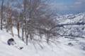 【シャルマン火打・新潟県】非圧雪コース率は驚異の65％！ パウダーを楽しむためにある豪雪天国の画像004