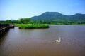 【6月は梅雨の合間を狙え】ふり返ればオーシャンビュー！  ひと足早い初夏の角田山【月めくりの低山カレンダー #06】の画像004