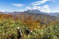 【紅葉＆登山】一面が黄色に染まるブナの原生林！ 紅葉真っ盛り！ 錦秋のトレイルを歩く中西山トレッキング 長野県長野市鬼無里・2023年の画像007
