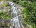 【世界自然遺産・屋久島】 屋久島をレンタカーで一周するドライブ旅「千尋の滝・大川の滝・ガジュマル・西部林道」を一日でめぐる！の画像017