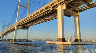 横浜から見える「ひょっこり富士山」の絶景とは？  おすすめの「無料スポット3選」と見るための注意点